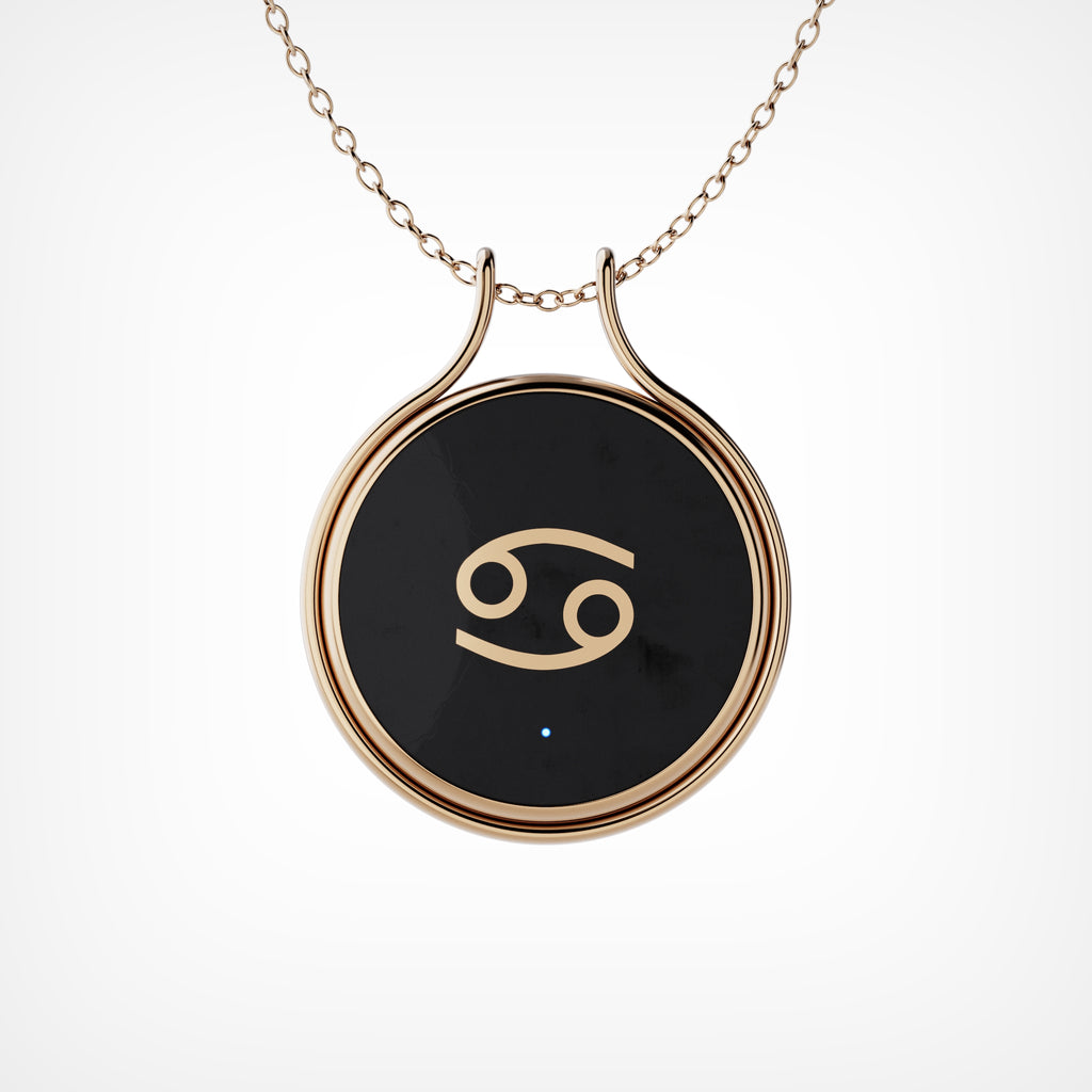 Charm AI (Copy)
