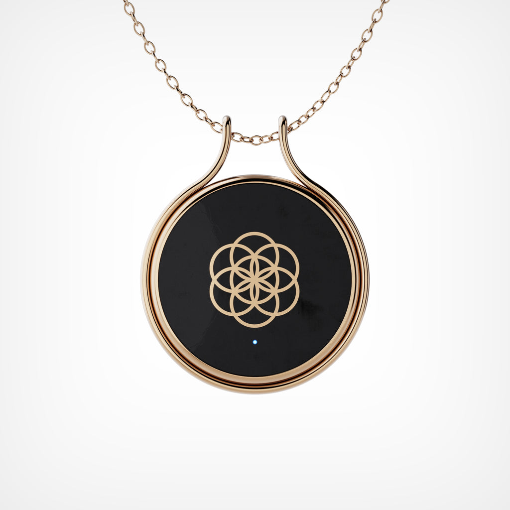 Charm AI (Copy)