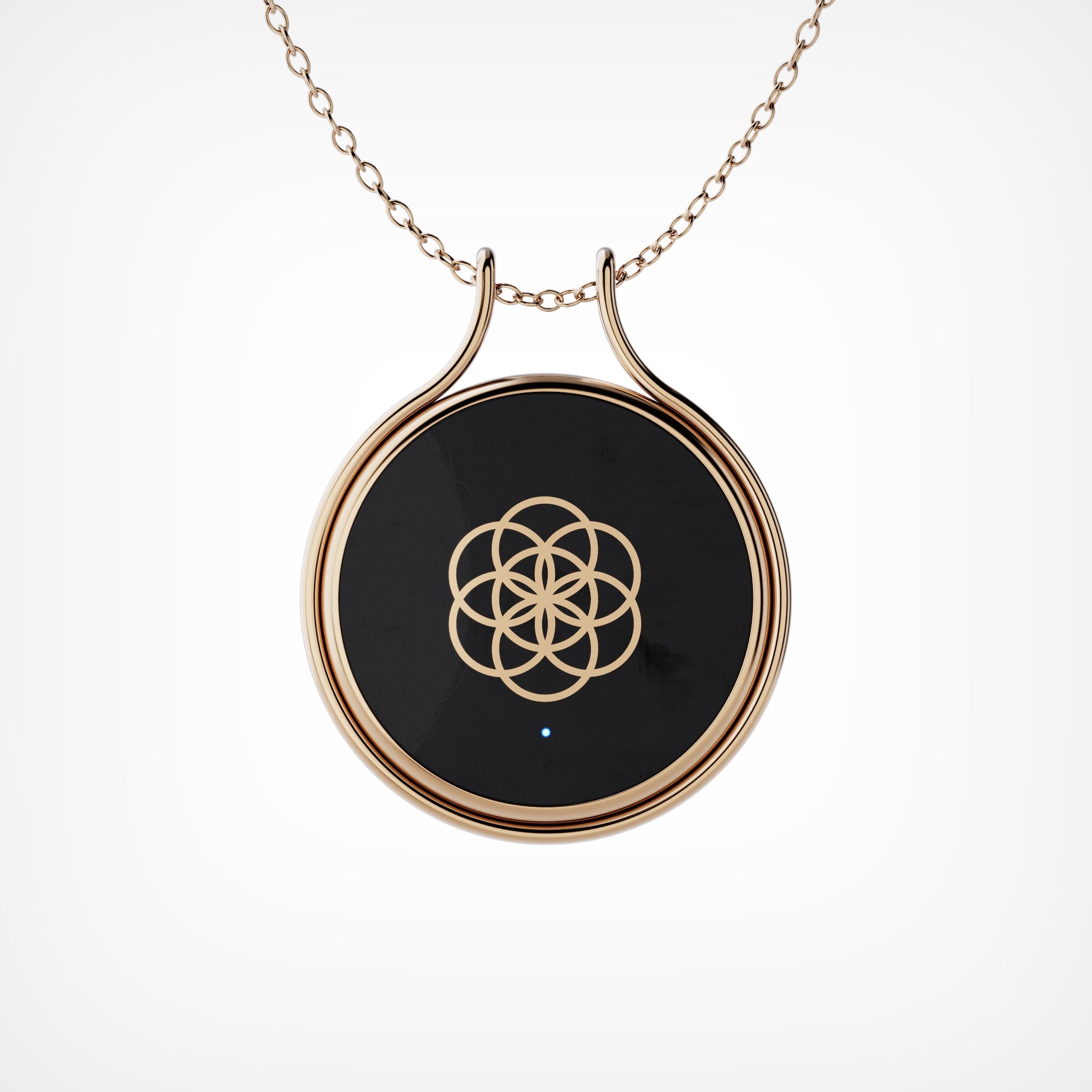 Charm AI (Copy)