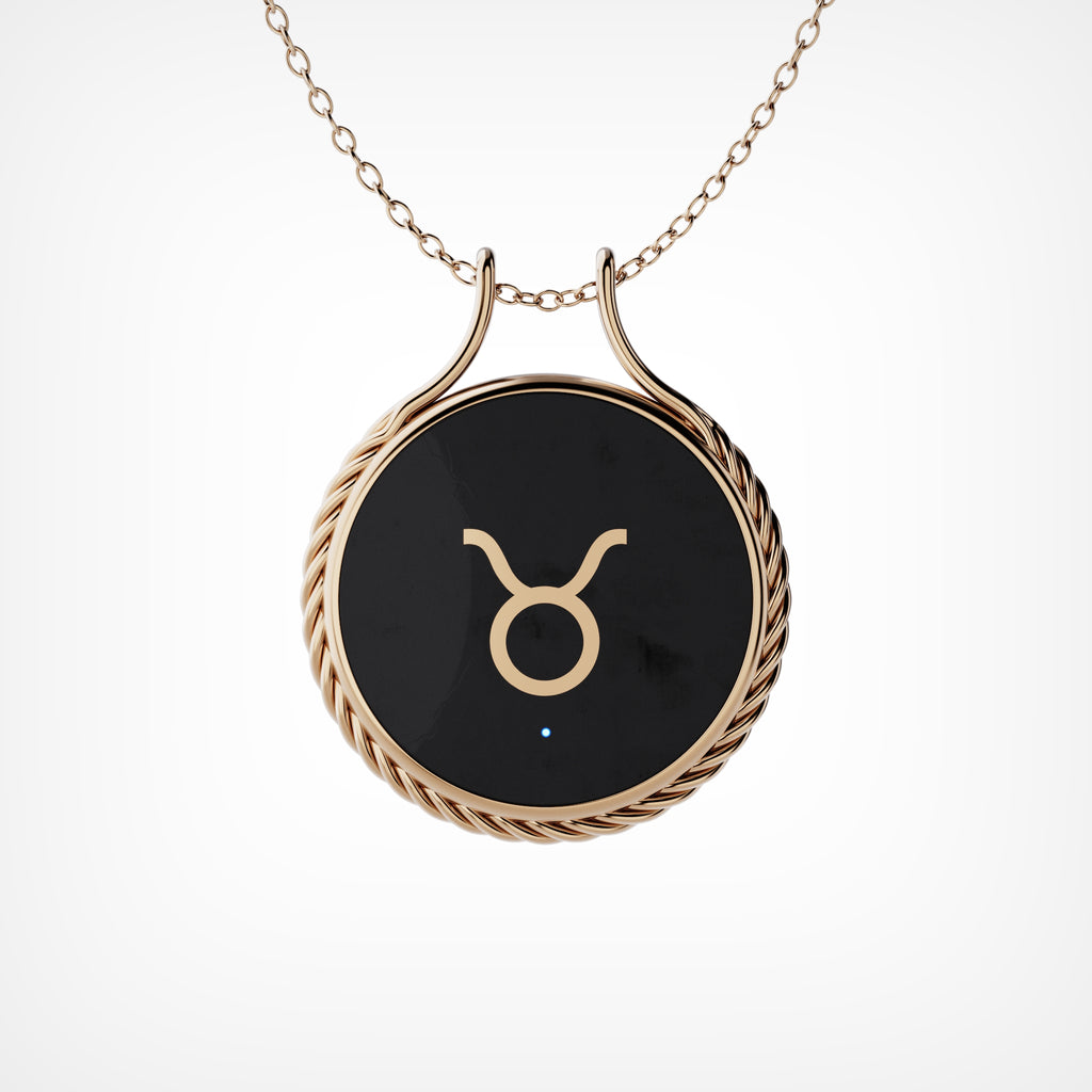 Charm AI (Copy)
